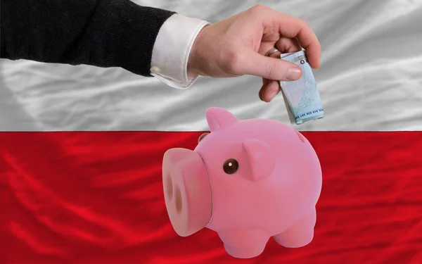 Финансирование евро в богатые свинка банка Национальный флаг Польши — стоковое фото