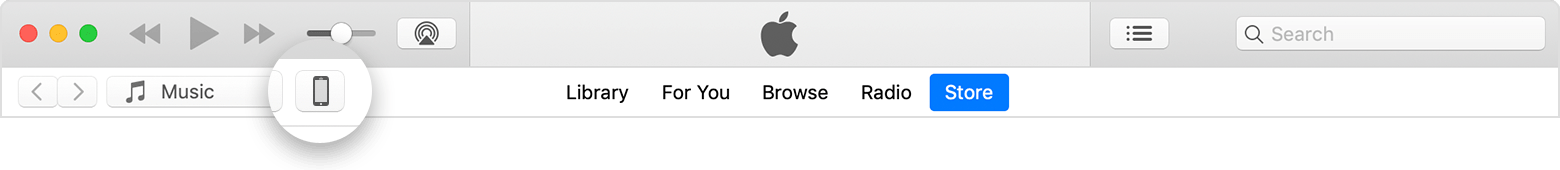 The device icon in the upper left corner of the iTunes window.