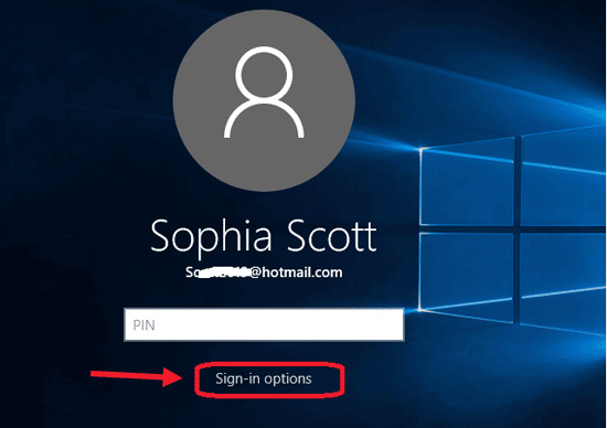 sign in windows 10 with other sign in options