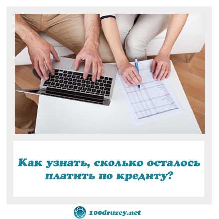 Осталось выплатить. Как узнать сколько осталось платить по кредиту. Как в онлайн посмотреть сколько осталось платить кредит. Как посмотреть в сколько осталось платить по кредиту. Сколько осталось мне платить кредит.